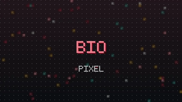 Phone screen showing a social bio with pixel styled text